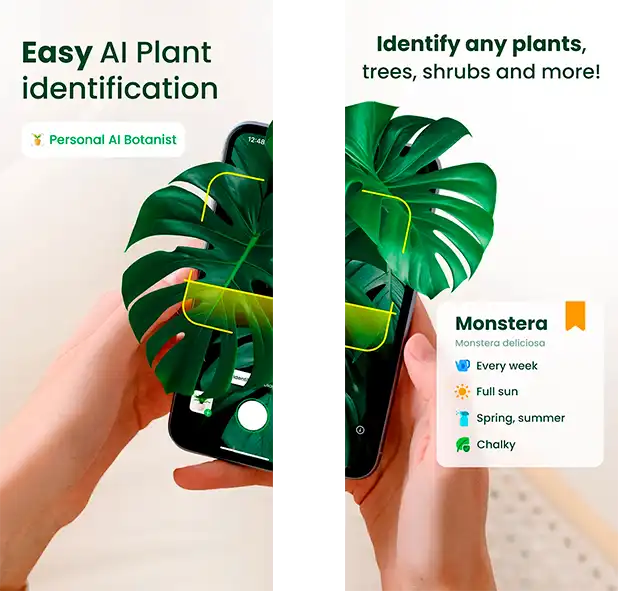 AI Plant Finder interface showing scan results