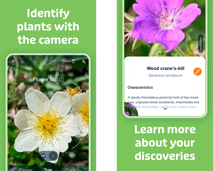 Flora Incognita app focusing on wild plants